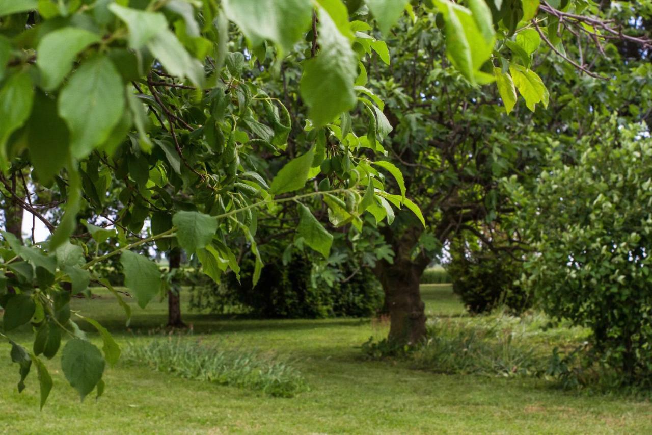 La Centuria Societa Agricola Casa Vacanze Terzo d' Aquiléia エクステリア 写真
